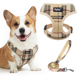 PUPTECK Soft Mesh Dog Harness and Leash Set Pet Puppy Cat Comfort Padded Vest No Pull Harnesses, Beige, XL