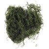 Rayher Muschio Della Giungla, Verde, Busta 20 G, 8501029