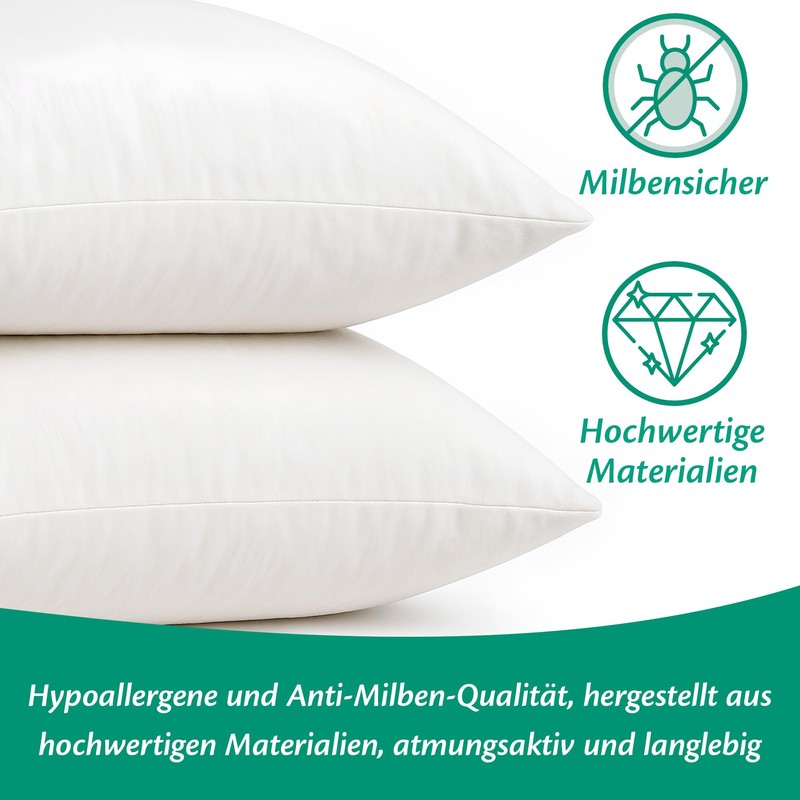 Flowen Cushion 30 x 50 cm, Set of 2 Decorative