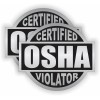 Unbranded/Generic pair - OSHA VIOLATOR Funny Vinyl Hard Hat Safety Helmet Stickers Decals Silver