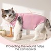 Cat Recovery Suit Post Surgery Bodysuit for Cats, Elizabethan Collar