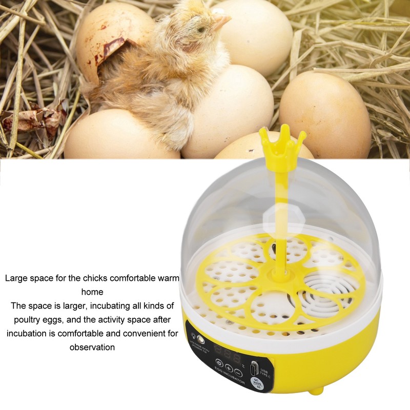 Mini Egg Incubator for Home Automatic Temperature Humidity Control 4