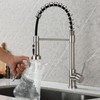 TIORIY Pull Down Spray Head Replacement - for Kitchen Faucet