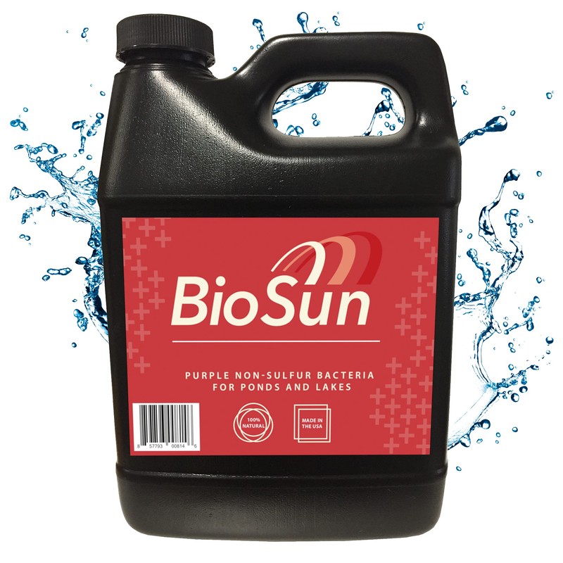 BioSun Purple Non-Sulfur Bacteria for Ponds and Lakes – Fish,