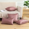 JOTOM Set of 2 Velvet Soft Solid Cushion Covers 30x50