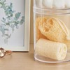 STORi Bella Tall Scrunchie Holder | Stackable Clear Plastic Container