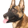 LUCKYPAW Mesh Dog Muzzle for Large Medium Small Dogs, Soft