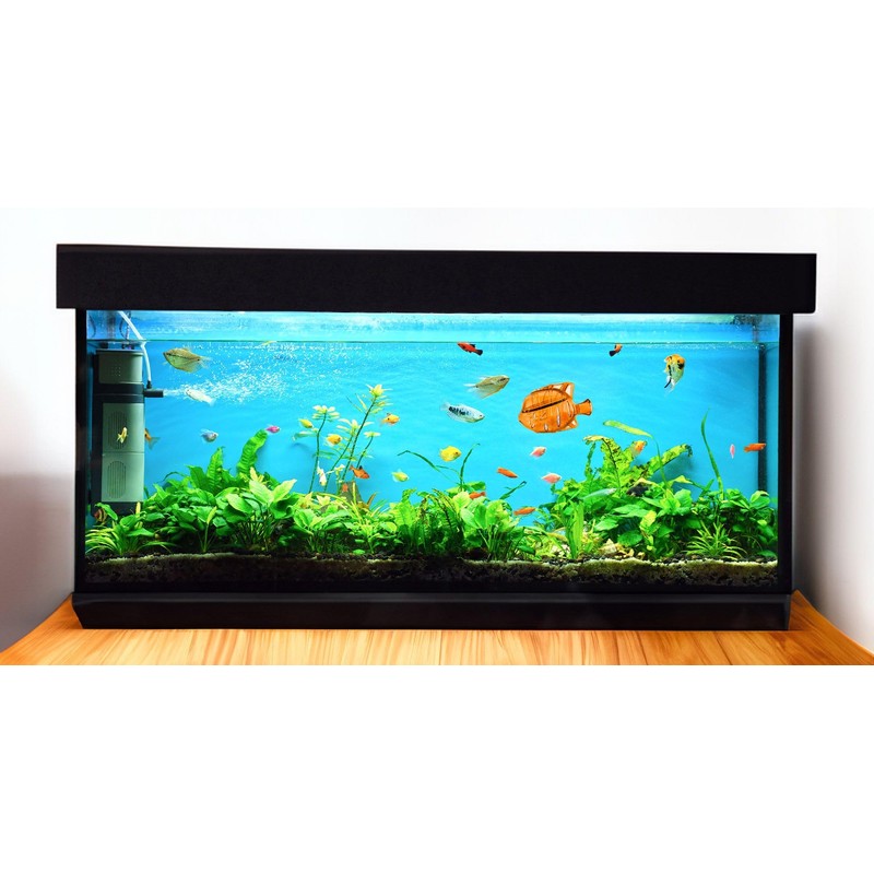 Clarence the Clarifier Fish Aquarium Water Clarifier | Clear Cloudy