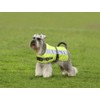 Petlife Flectalon Hi-Vis Dog Jacket Complete with Thermal Lining, 20-inch,