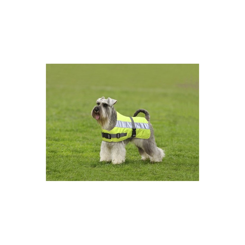 Petlife Flectalon Hi-Vis Dog Jacket Complete with Thermal Lining, 20-inch,