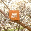 TCHO Aww Nuts! Dark Chocolate Bars (5 pack) | Plant