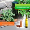 BioGreen Hydro Wine Irrigation System for Balcony and Pot Plants,
