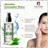 Passion Indulge Cucumber Water Skin Toner For Face - 100