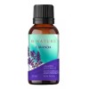 B Nature Aceite Esencial Lavanda Oficinalis Puro Bnature 30 Ml