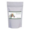 Equicure Milk Thistle 40x Concentrate - Liver Support and Detoxification