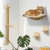 QTART Wall Mount Cat Wall Shelves – Hammock, Scratching Post