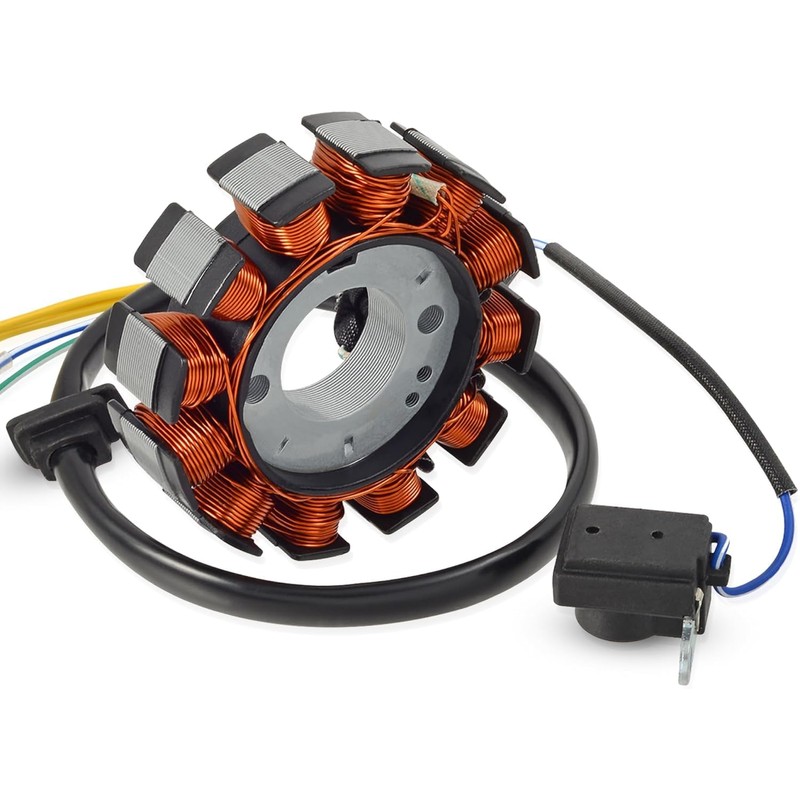 GY6 Stator Ignition Stator Magneto Coil 12 Pole Direct Current