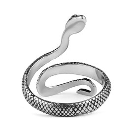HZMAN Snake Ring Men Women Gothic Jewelry Retro Animal Fashion Personality Stainless Steel Ring, Metal, No Gemstone