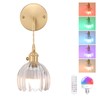 Shenmoyl Battery Operated Wall Sconce with Clear Tulip Shade Pattern