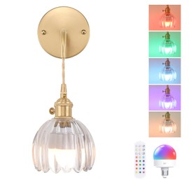Shenmoyl Battery Operated Wall Sconce with Clear Tulip Shade Pattern Glass Adjustable Chain Retro Gold Wall Mounted Light, Modern Wall Lamp Fixtures Decor for Bedside Bedroom Indoor Doorway