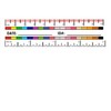 Self-Adhesive Wound Measurement Tools Sticker 100 pcs Wound Measuring Ruler