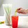 Restaurantware-Basic Nature 8.3 Inch Disposable Straws, 2000 Sustainable Straws -