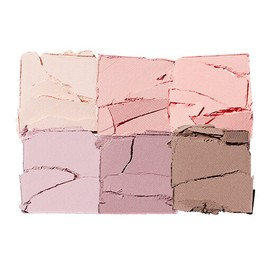 BBIA Ready To Wear Eye Palette 5 Options  - 06 Cool Standard