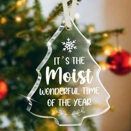 Funny Christmas Ornament It’s The Moist Wonderful Time of The Year Stocking Stuffer Holiday Gag Gift Christmas Tree Decoration for Friends Coworkers White Elephant Secret Santa