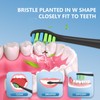 Replacement Toothbrush Heads with Covers for 7am2m AM101/AM105 Electric Toothbrush,10