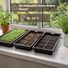Samenshop24® Organic Cultivation Set (The Original)