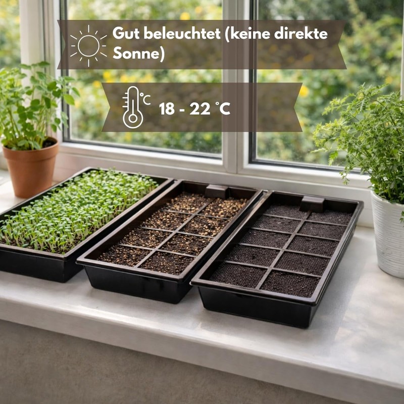 Samenshop24® Organic Cultivation Set (The Original)