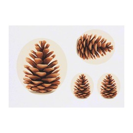 Azeeda 4 x 'Herbstlicher Tannenzapfen' Temporäre Tattoos - Wasserfest, Hautfreundlich & Ungiftig · Transfers in Verschiedenen Größen (TO00082570)