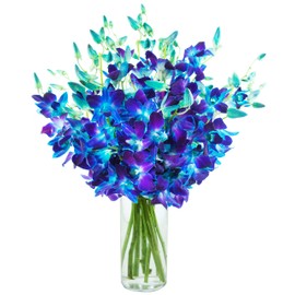 KaBloom PRIME NEXT DAY DELIVERY - Fall Collection - Exotic Blue Sapphire Orchid Bouquet of 20 Fresh Blue Orchids With Vase.Gift for Birthday, Thank You, Valentine, Mother’s Day Fresh Flowers