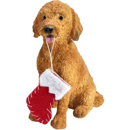 Sandicast Goldendoodle with Stocking, Resin ,Christmas Ornament, Multi Color (XSO24201)