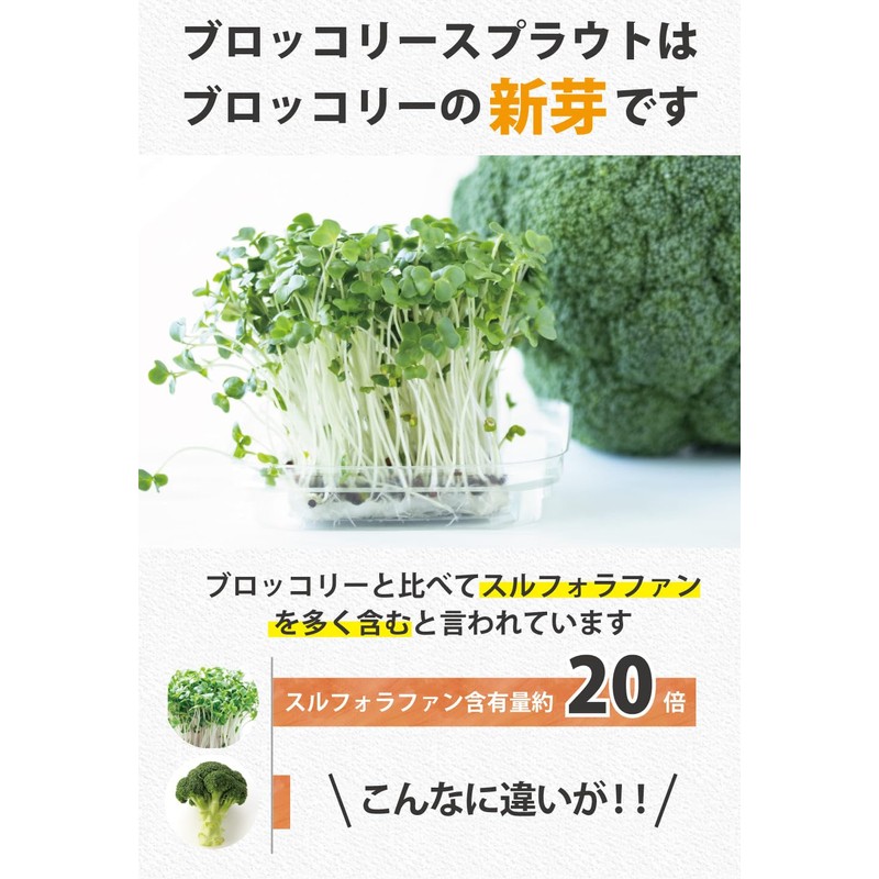 Health & Wild Grass Tea Center, Broccoli Sprout (Made in