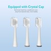 Replacement Brush Heads for Waterpik Sonic Fusion 2.0 - Flossing