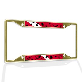 Fastasticdeals Metal Insert License Plate Frame Scuba Diving Weatherproof Car Accessories Gold 4 Holes Solid Insert