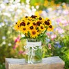 Black Eyed Susan Seeds - Gloriosa Daisy Mix - 1/4