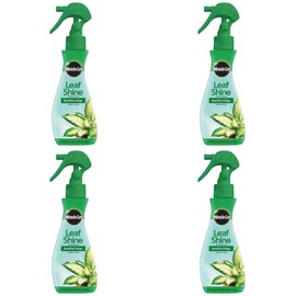 Miracle-Gro 100720 Leaf Shine (6 Pack), 8 oz Pack of 4