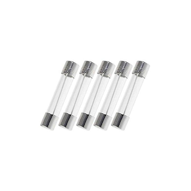 Witonics 6A 250V Slow-Blow Glass Fuses 6x30mm (Pack of 5)