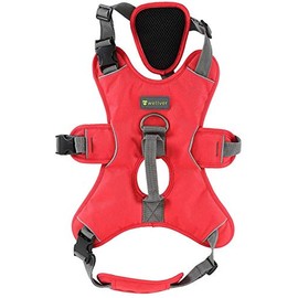 JUNELILY Pet Harness for Dogs Cats | Adjustable Soft Padded Vest with Handle and Attachment for Leash - Large