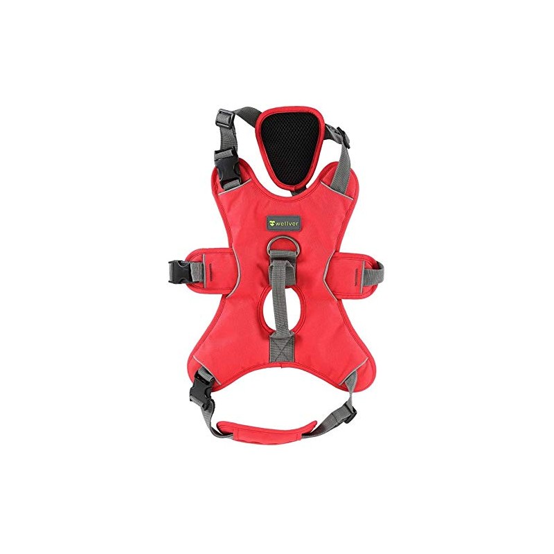 JUNELILY Pet Harness for Dogs Cats | Adjustable Soft Padded