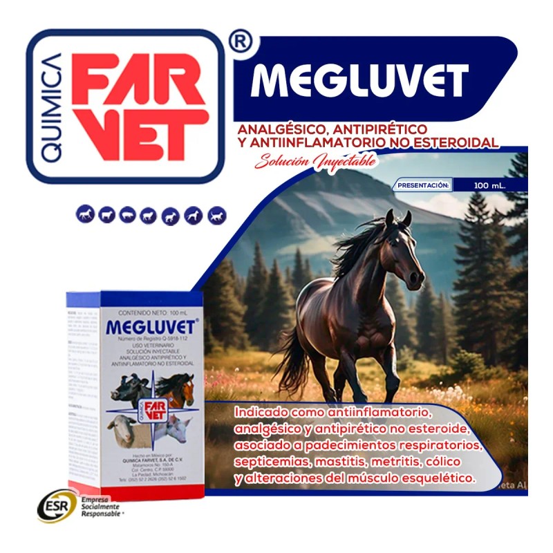 Megluvet Antiinflamatorio, Analgésico Y Antipirético 100ml