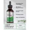 Horbäach Liquid Chlorophyll | 2 fl oz | Natural Peppermint