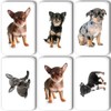 Merchandise for Fans Chihuahua 01 Rectangular Fridge Magnets 5.8 x
