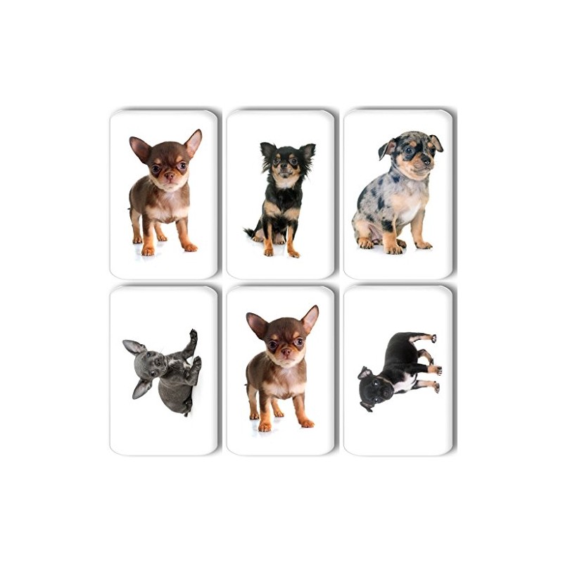 Merchandise for Fans Chihuahua 01 Rectangular Fridge Magnets 5.8 x