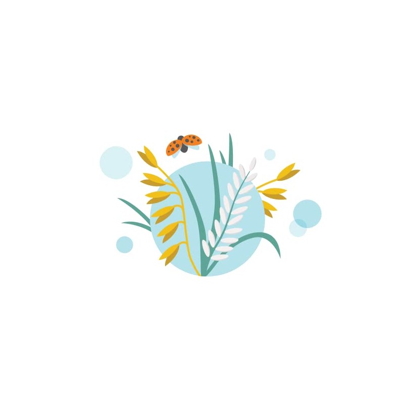 DADA mio Shower Oil Shampoo Travel Size 100 ml