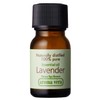 aroma vera essential oil lavender 10ml
