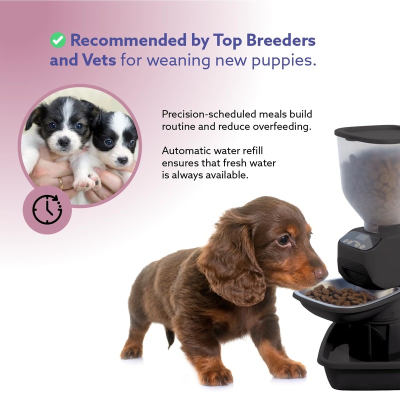 Feeding Friend Automatic Dog & Cat Food Feeder with Water