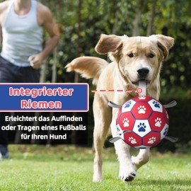 HETOO Dog Ball, Dog Toy Ball with Handle for Dogs, Interactive Towing of War, Water Dog Balls, Toy, Birthday Gift for Small/Medium/Large Dogs (6 Inches, Red, White)
